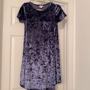 Velvet tee shirt dress